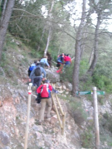 p1010001.jpg