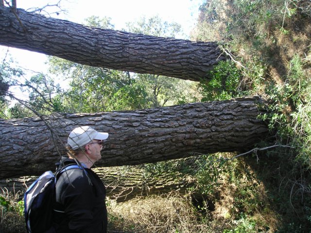 p1010013.jpg