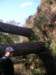 p1010014_small.jpg