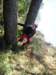 p1010015_small.jpg