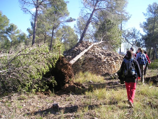 p1010016.jpg