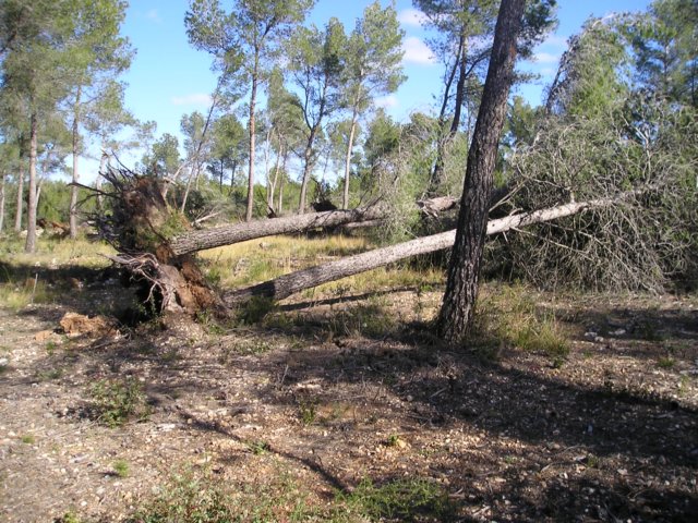 p1010020.jpg