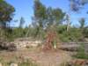 p1010022_small.jpg