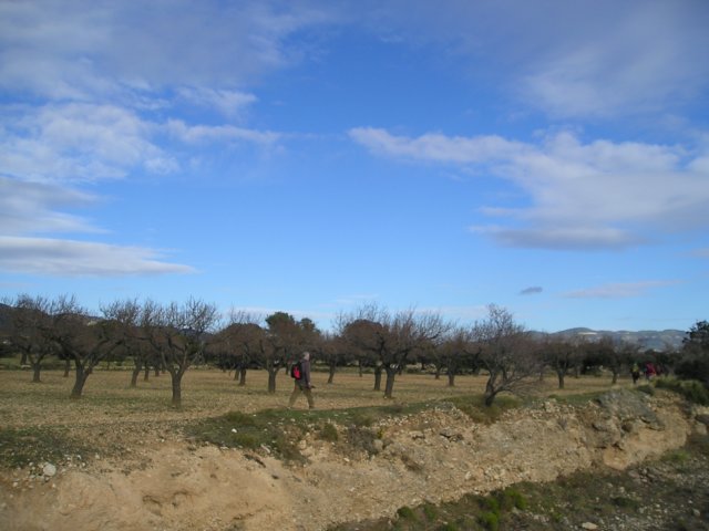 p1010028.jpg