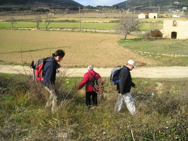 p1010031.jpg