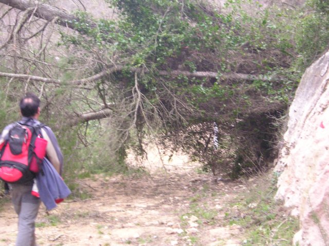 p1010033.jpg