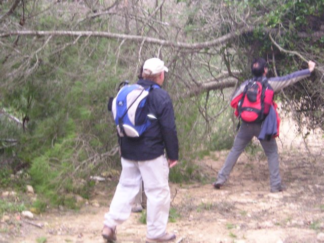 p1010034.jpg