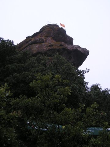 p1010014.jpg