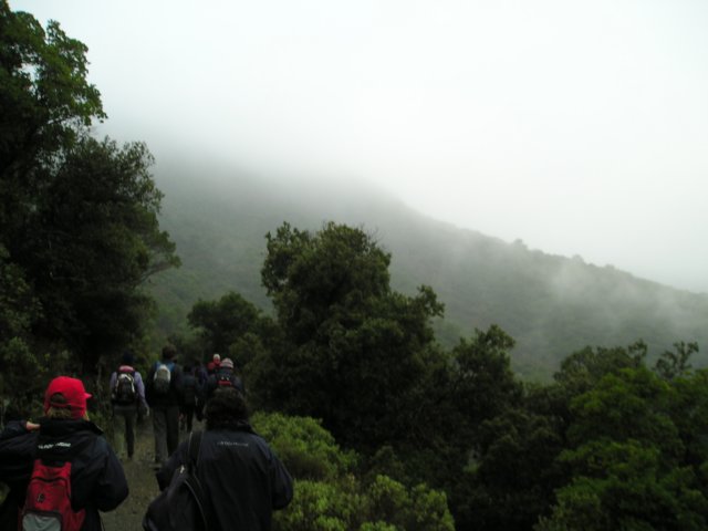 p1010018.jpg