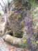 p1010021_small.jpg