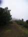 p1010026_small.jpg