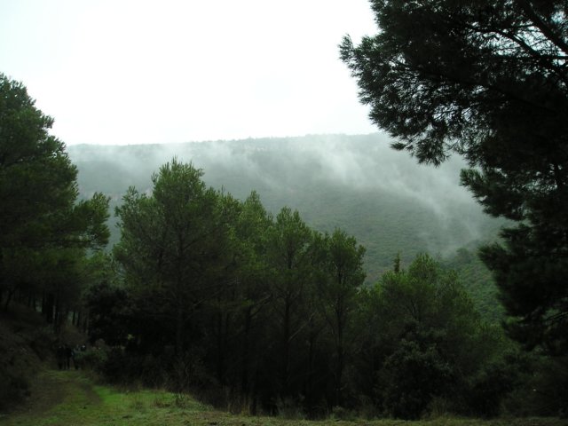 p1010029.jpg