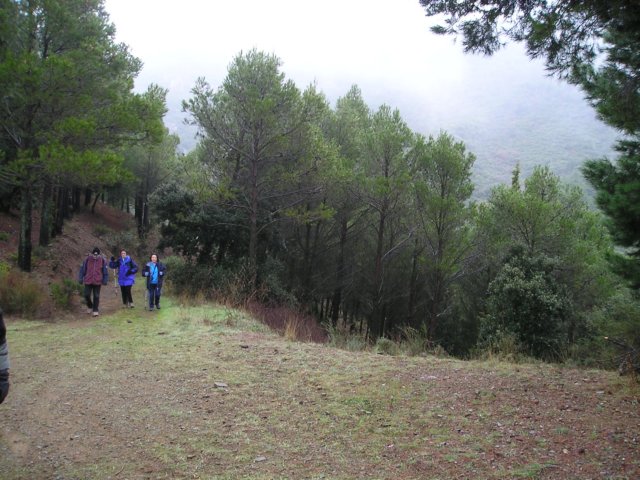 p1010030.jpg