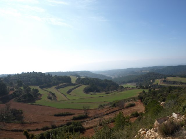 p2220452.jpg