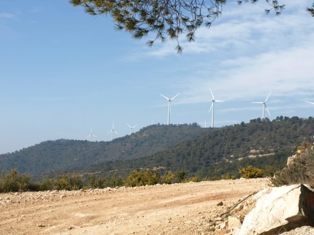 p2220454.jpg