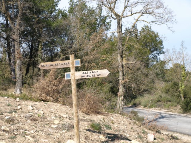 p2220455.jpg