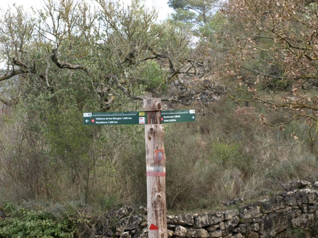p2220459.jpg