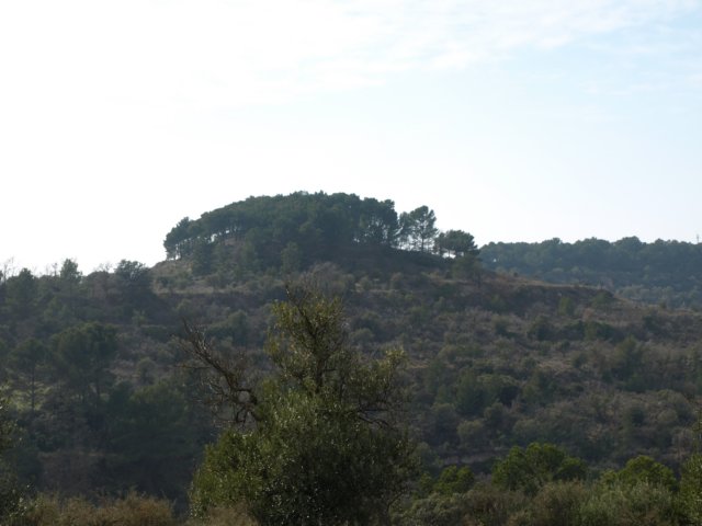 p2220466.jpg