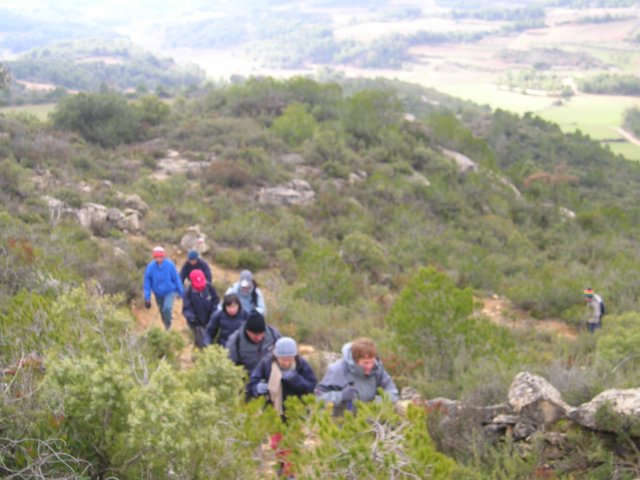 p1010039.jpg