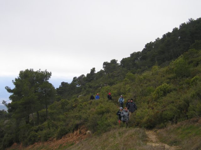 p1010044.jpg