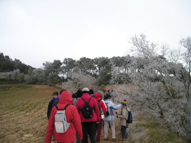 p1010049.jpg