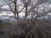 p1010050_small.jpg