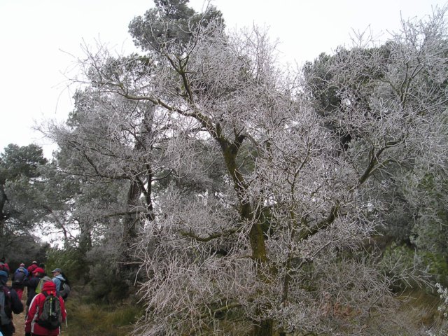 p1010052.jpg