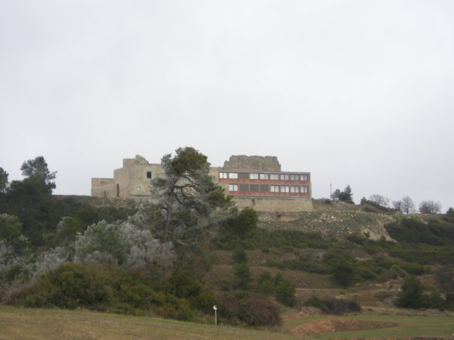 p1010057.jpg