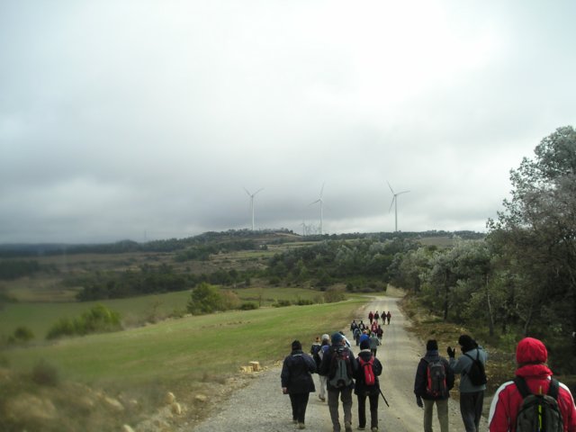 p1010059.jpg