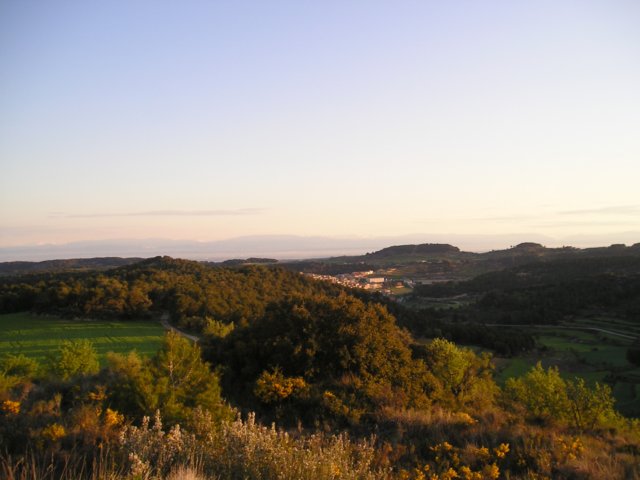 p1010001.jpg