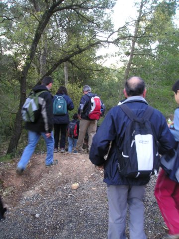 p1010005.jpg