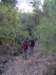 p1010006_small.jpg