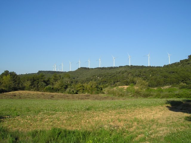p1010014.jpg