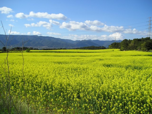 p1010026.jpg