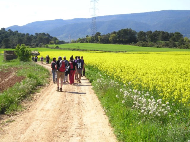 p1010027.jpg