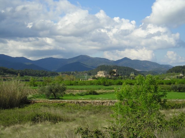 p1010032.jpg