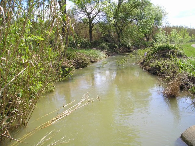 p1010033.jpg