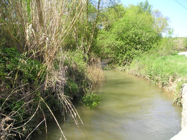 p1010035.jpg