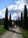 p1010038_small.jpg