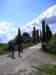 p1010039_small.jpg