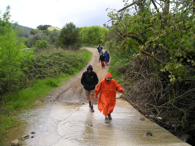 p1010047.jpg