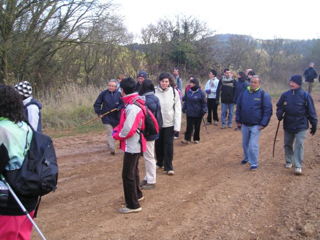 p1010003.jpg