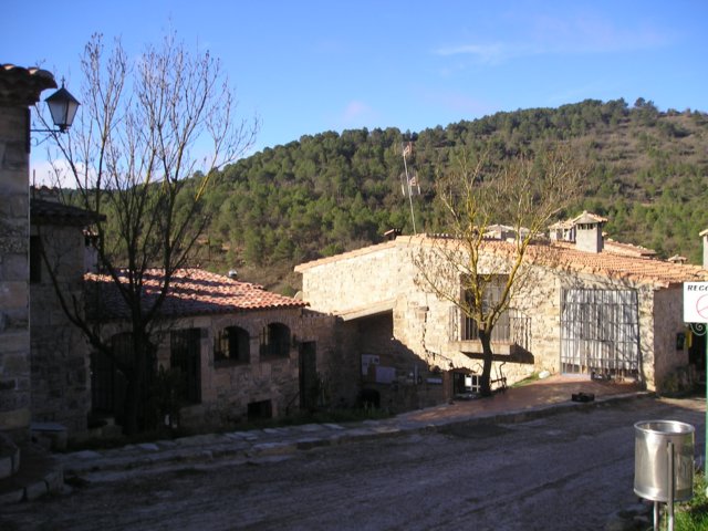 p1010013.jpg