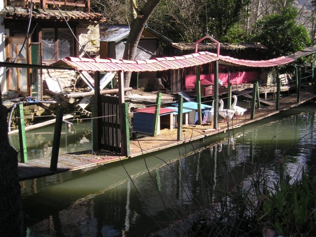 p1010020.jpg