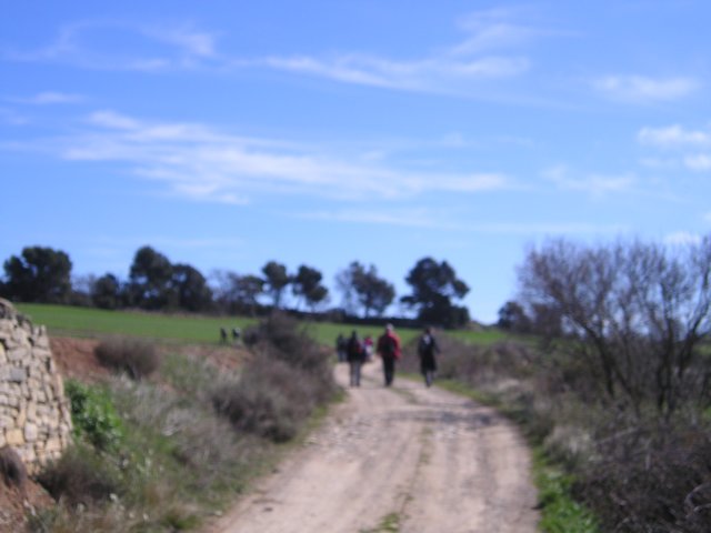 p1010027.jpg