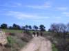 p1010027_small.jpg