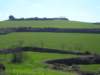 p1010028_small.jpg