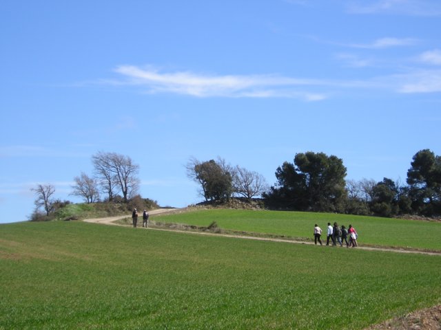 p1010029.jpg