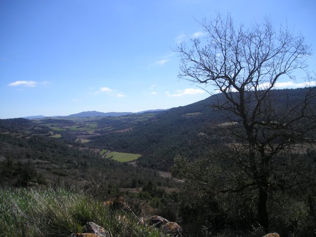 p1010033.jpg