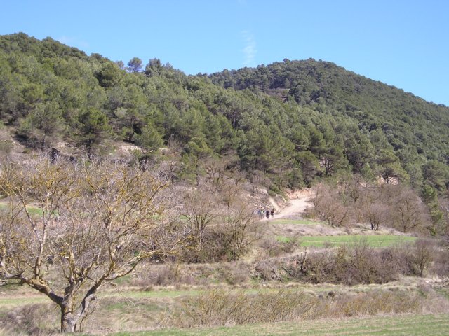 p1010035.jpg